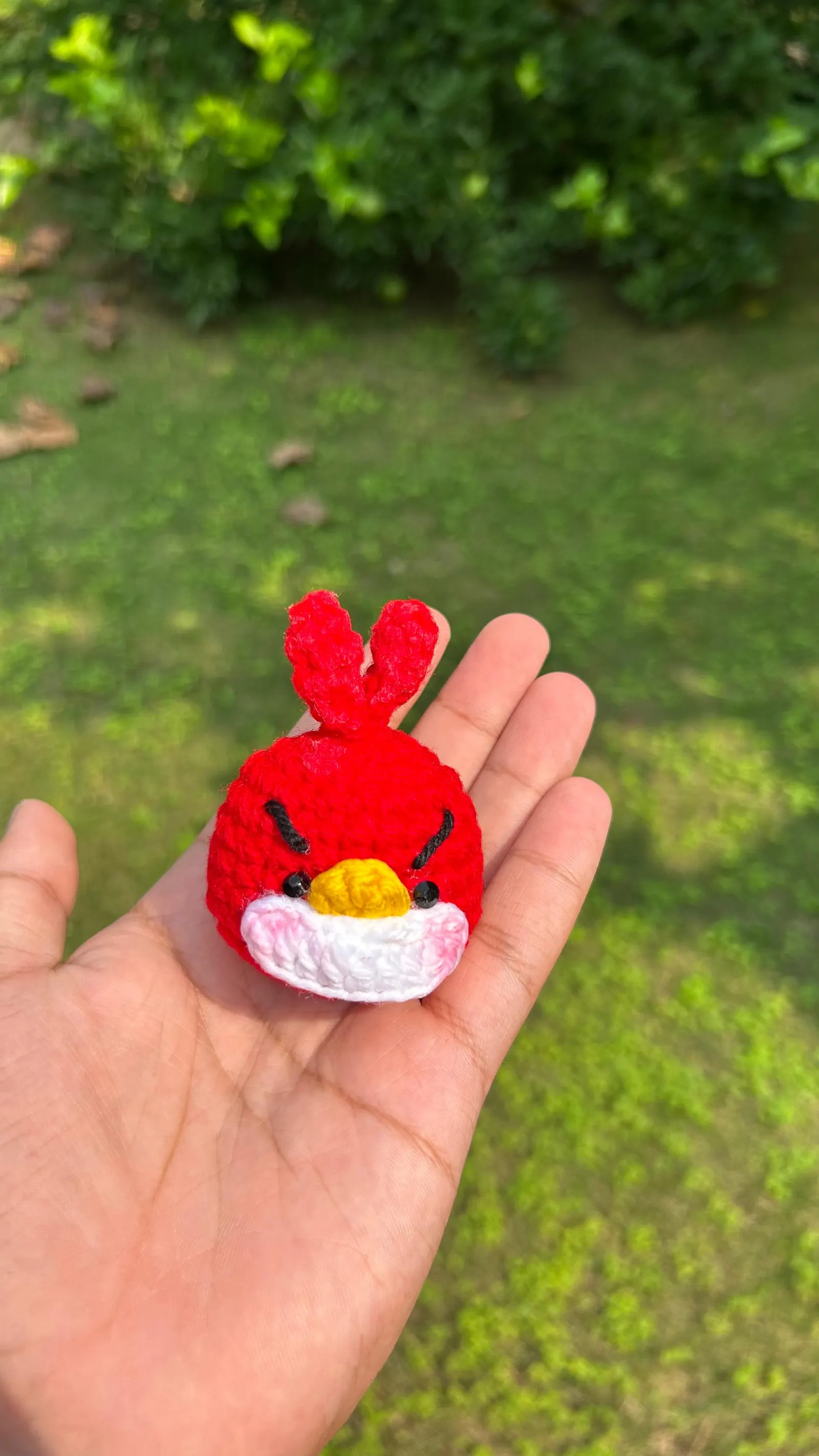 AngryBird Red